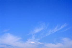 静岡・浜松エリアで高評価の葬儀場「富士葬祭 高林」の魅力とサービス内容を徹底解説