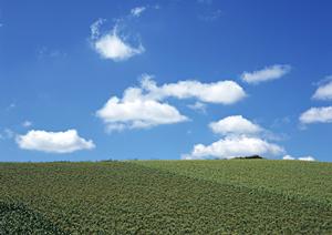 403 Forbiddenエラーの原因と解決策：ウェブサイトアクセスの安全性向上ガイド