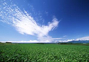 富士市で安心・信頼の葬祭サービスを提供する【富士葬祭 富士瓜島】の特徴と店舗情報