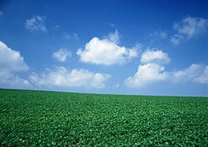 富士市の安心葬儀を実現！富士葬祭 富士鷹岡の特長とサービス内容徹底解説