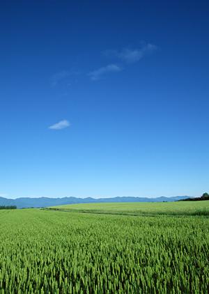 静岡県焼津市の家族葬に最適な富士葬祭焼津中央：安心と信頼の葬儀サービス