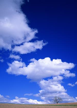 磐田市二之宮の家族葬・葬儀場【富士葬祭 中泉】：安心の一日一施行の貸切斎場と多彩な葬儀プラン