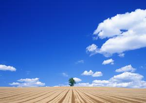 静岡県浜松市中央区にオープン！家族葬に特化した【家族葬のタクセル有玉南町】の特徴と最新情報
