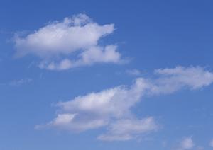 静岡県島田市の家族葬に最適！富士葬祭六合の特徴と最新情報